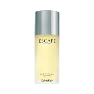 Calvin Klein Escape EDT 100ML For Men
