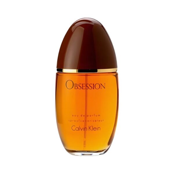 Calvin Klein Obsession EDP 100ML For Women