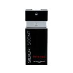 Jacques Bogart Silver Scent Intense EDT 100ML For Men