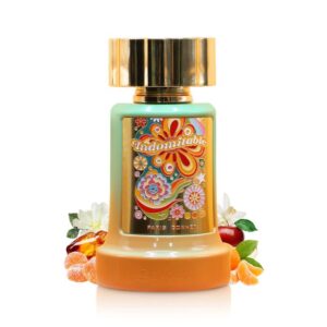 Paris Corner Indomitable EDP For Unisex 100ML